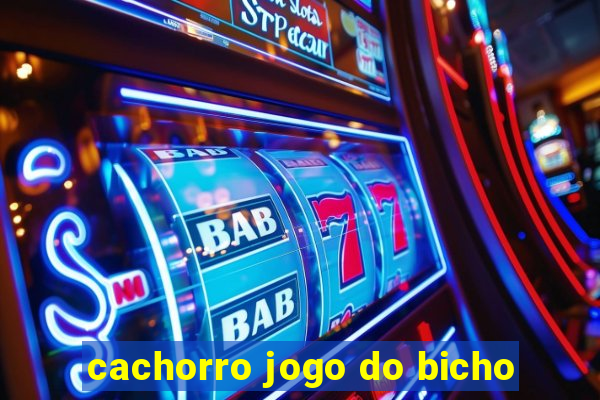 cachorro jogo do bicho